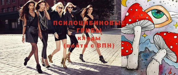 прущий лед Арсеньев
