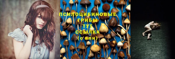 ГАЛЛЮЦИНОГЕННЫЕ ГРИБЫ Остров