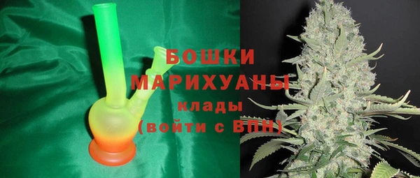 прущий лед Арсеньев